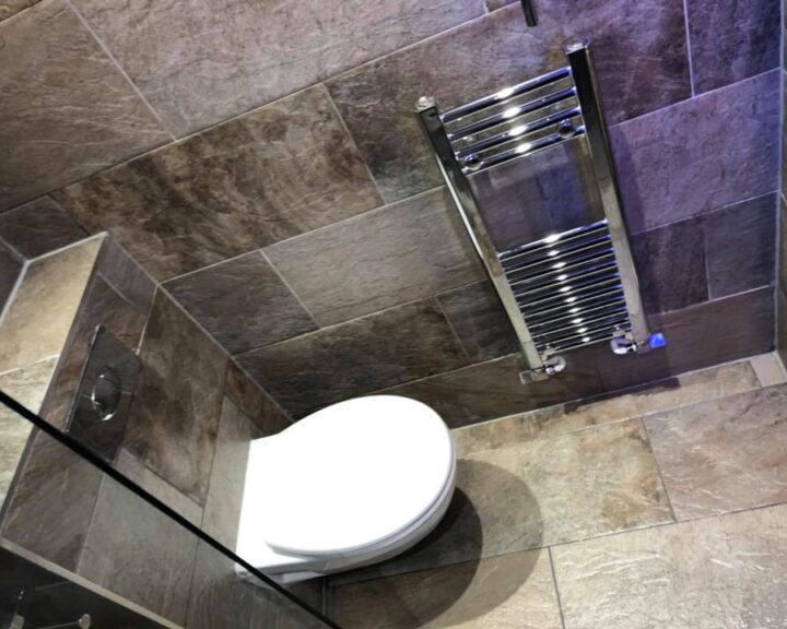 Modern bathroom featuring a white toilet and a wall-mounted towel radiator, with porcelain tiling on walls and floor.